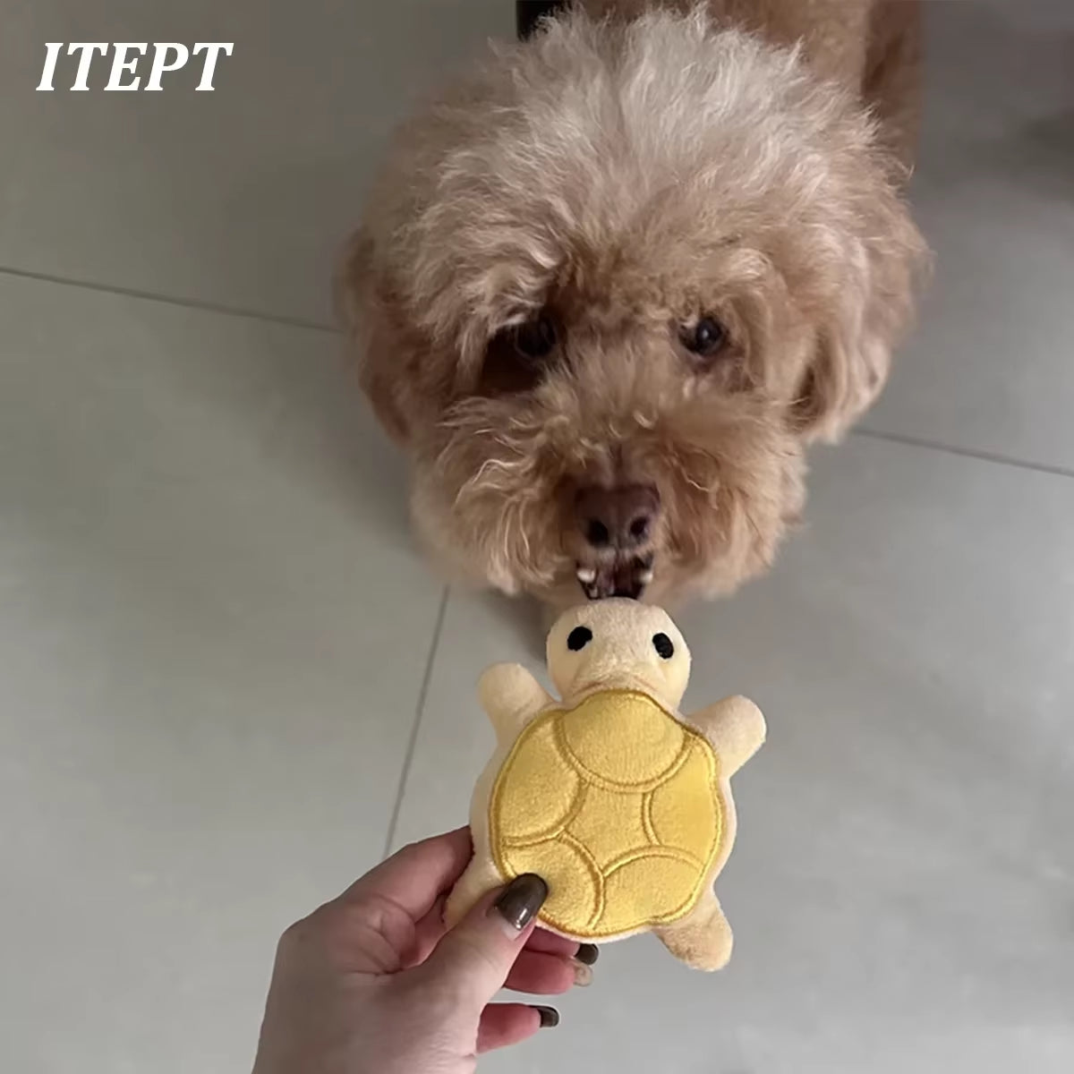 Dog Toy Mini Turtle Plush Chew Toy for Puppies Teething Relief Interactive Bite Resistant Dog Toy Dental Health Safe Fun Play